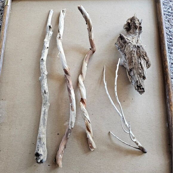 Driftwood Decor Terrarium Combo Pack Taxidermy Aquarium Aquascape Reptile Parrot - Picture 2 of 11